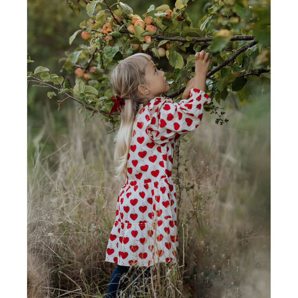 Winter Heart Dress