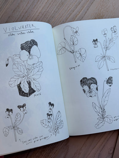 Växter, Fika och Ting - En målarbok för vuxna av Maja-Lisa Bekken