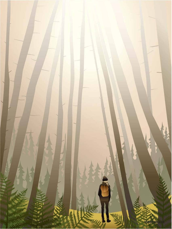 Plakat - Into the woods
