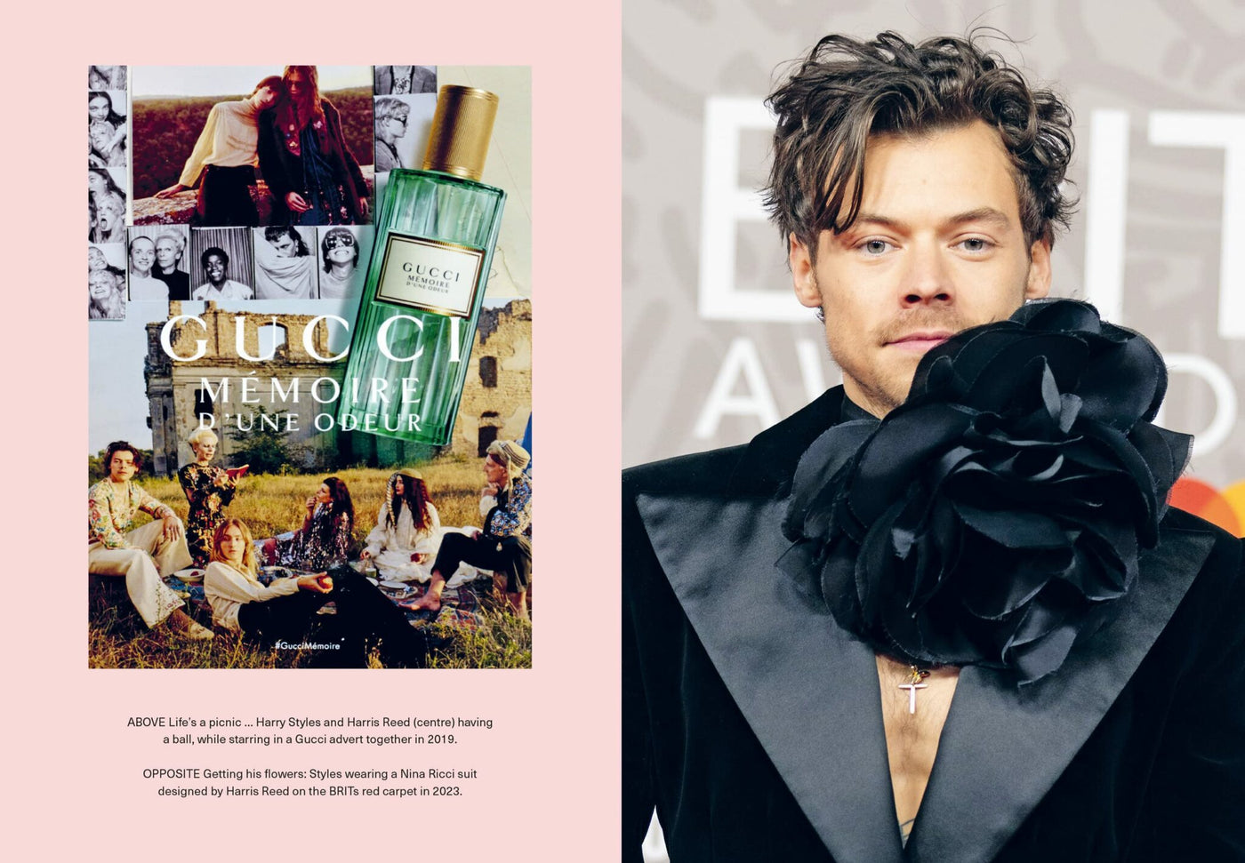 Icons of Style - Harry Styles