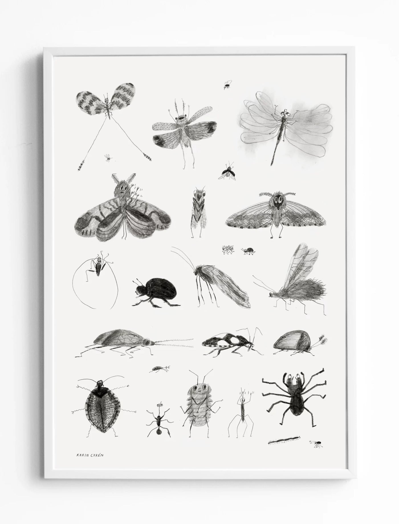 Plakat - Bugs