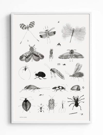 Plakat - Bugs