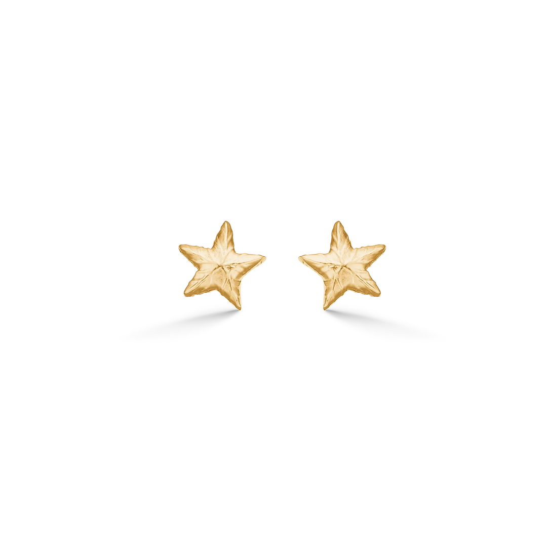 Shiny Star Øredobber