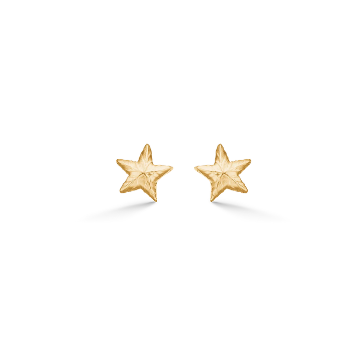 Shiny Star Øredobber