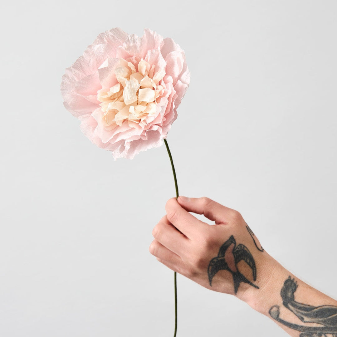 Papirblomst - Veggie Rose - Rose