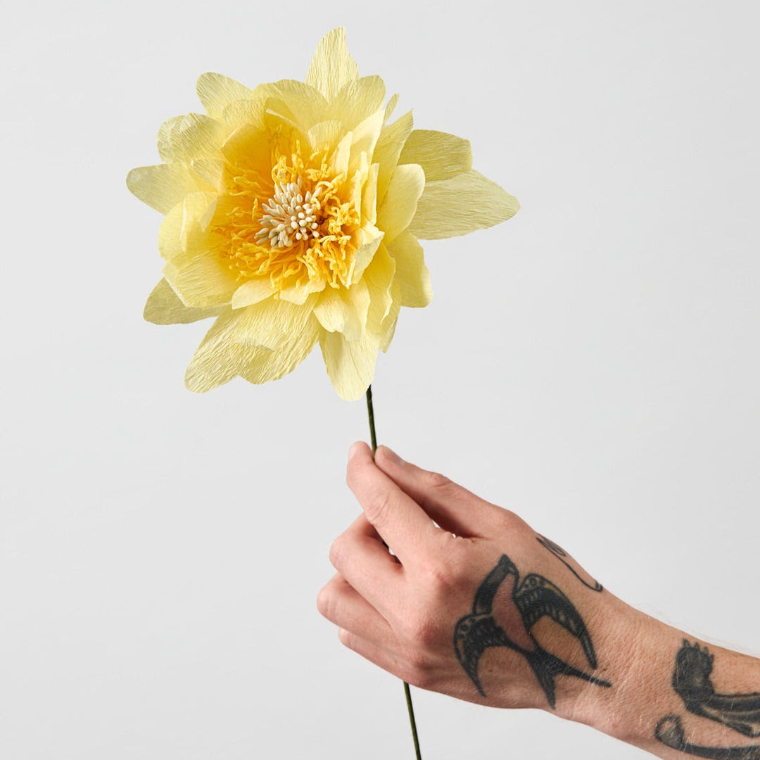 Papirblomst - Cottage Rose - Yellow