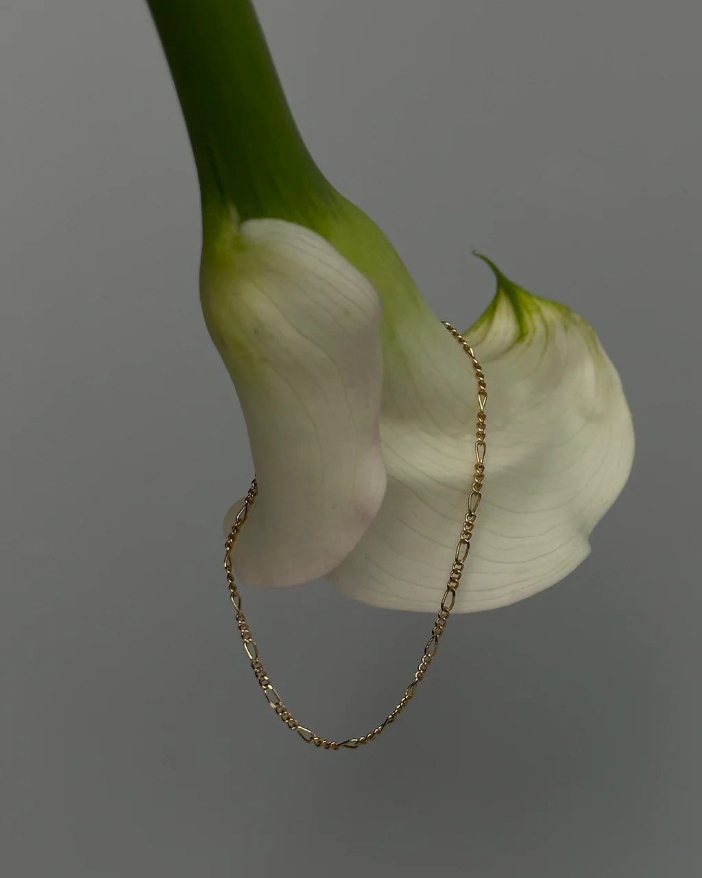 Figaro Armbånd Small