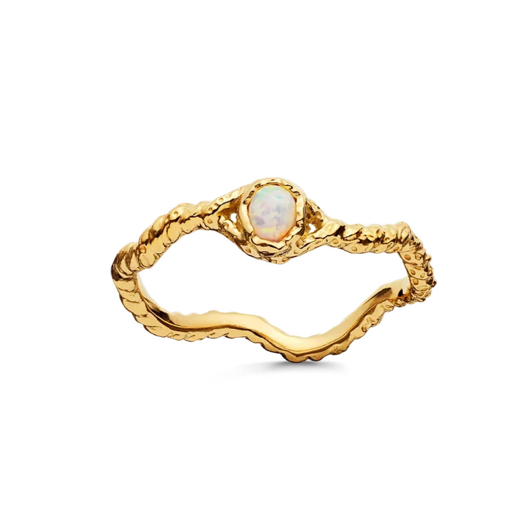 Lisa Ring