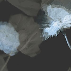 Enlomond Ls Dress Aop 7042 - Winter Garden