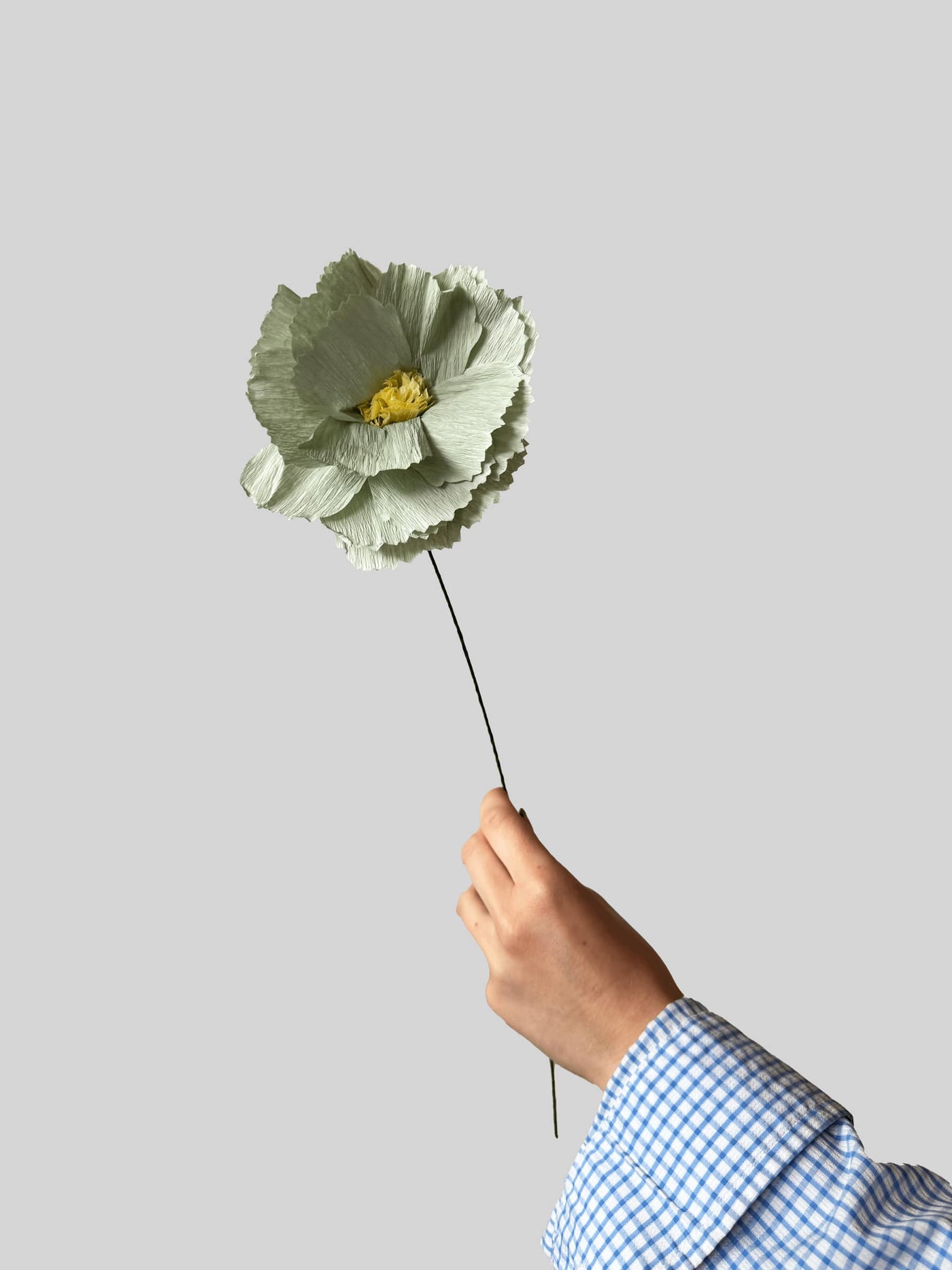 Papirblomst - Peony - Mint