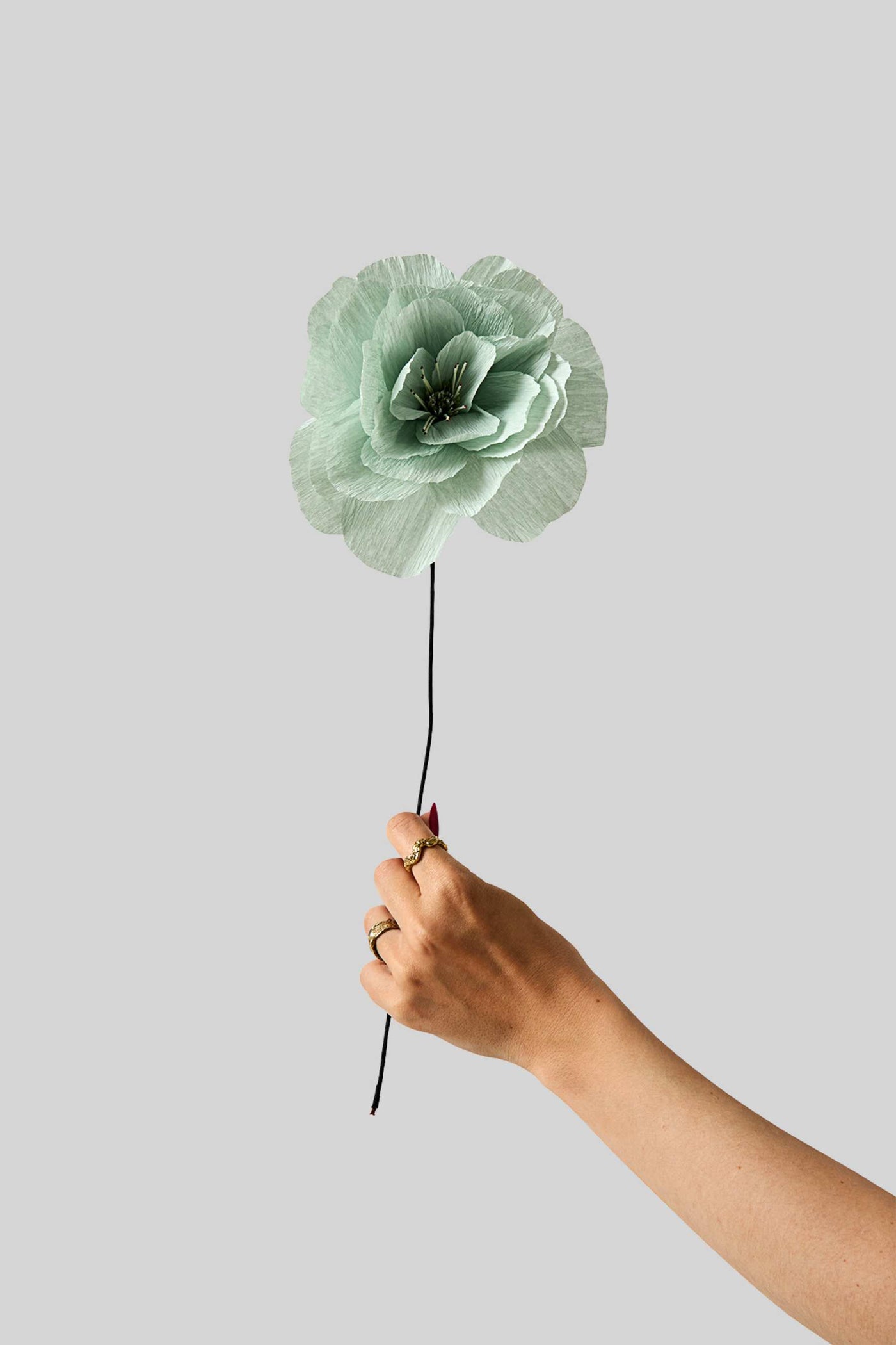 Papirblomst - Rosa La Paloma Grande - Mint