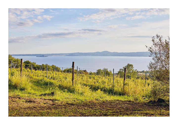 How to Drink Natural Wine