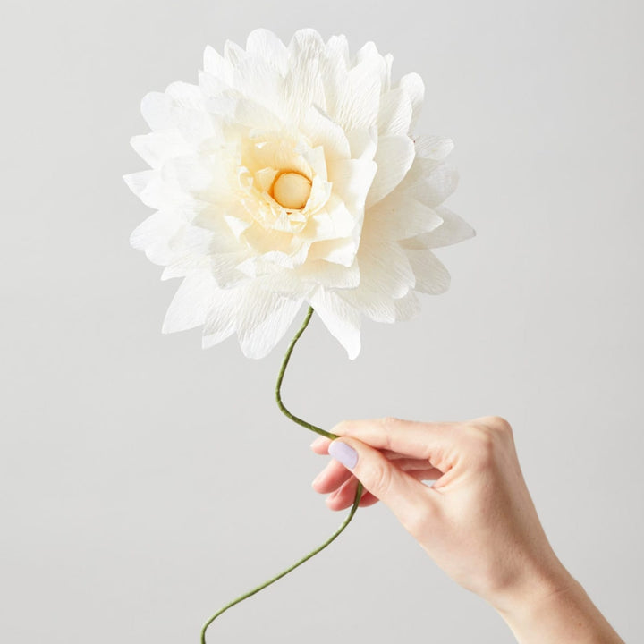 Papirblomst - Grand Dahlia - Sand