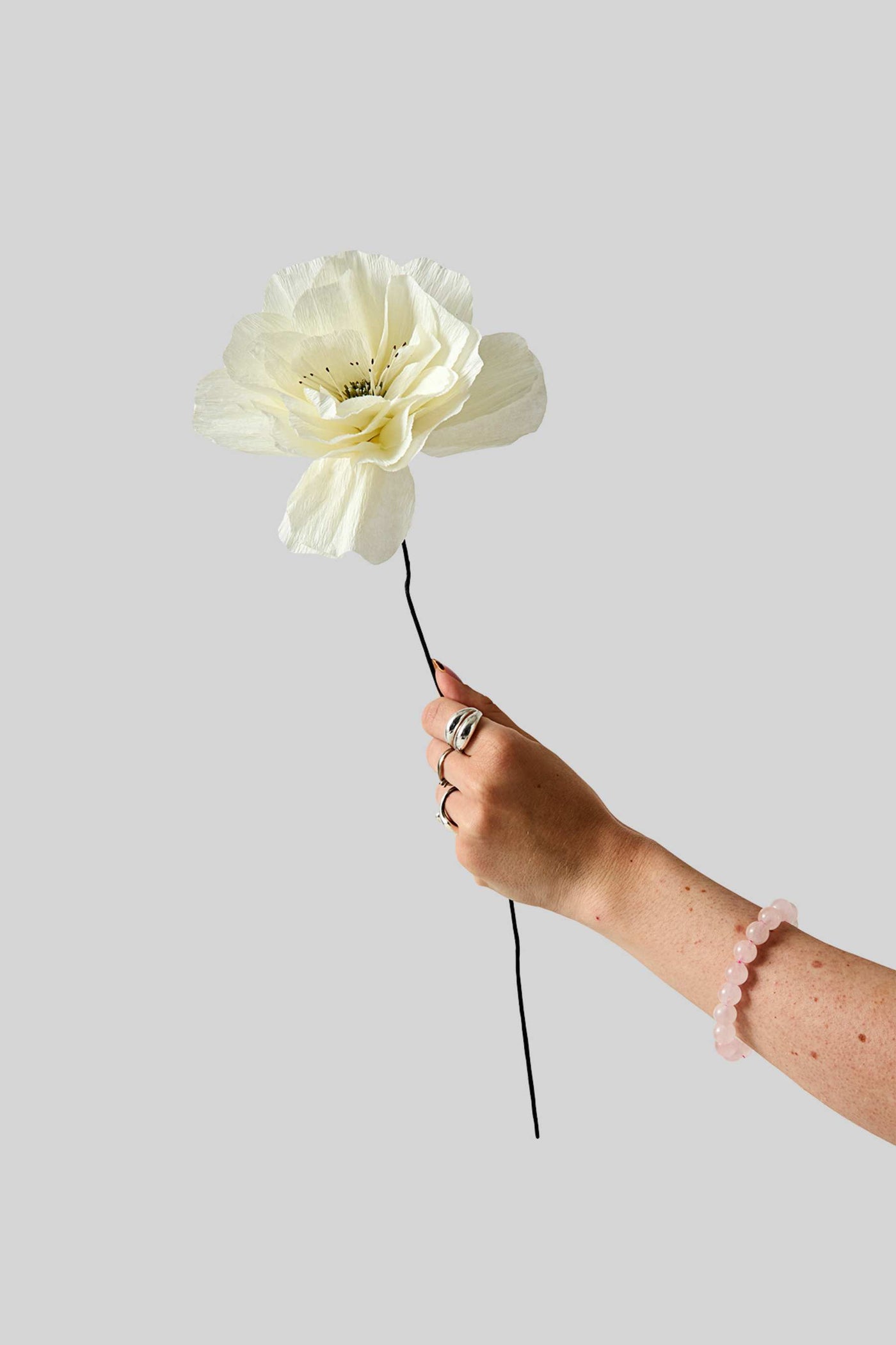 Paper Flower, Rosa La Paloma Grande, Sand