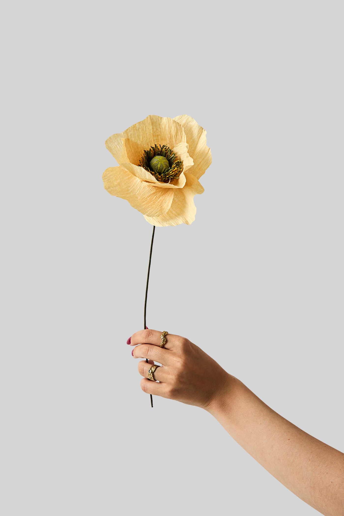 Papirblomst - Papaver - Soft Peach