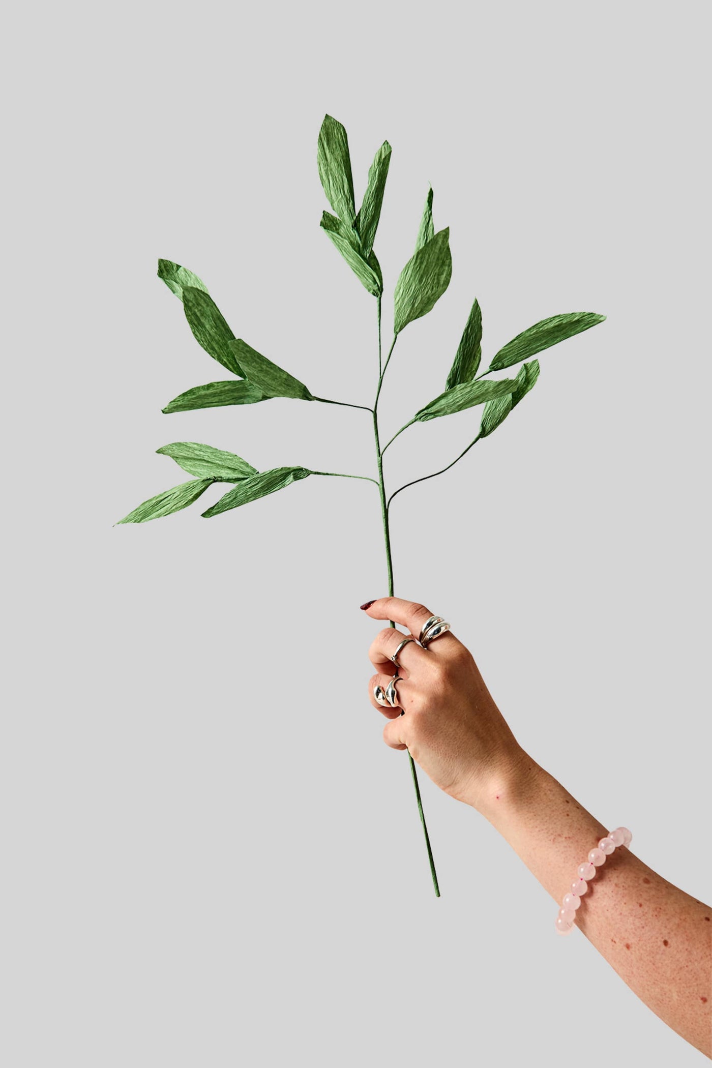 Papirblomst - Branch With Detailed Leafs - Green