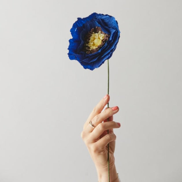 Papirblomst - Ice Poppy - Blue