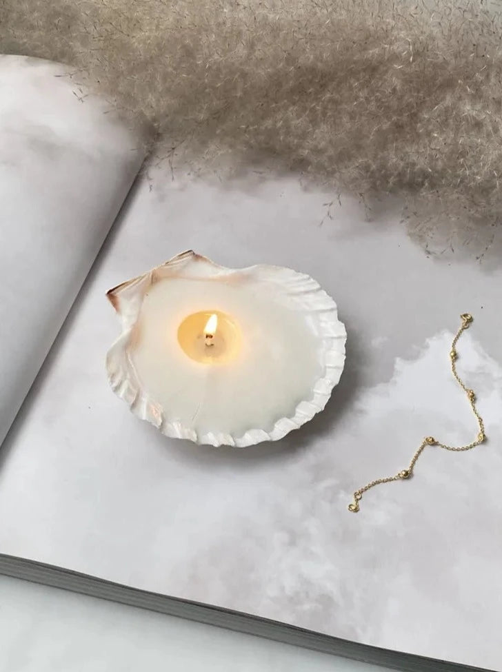 Sea Shell Soyalys