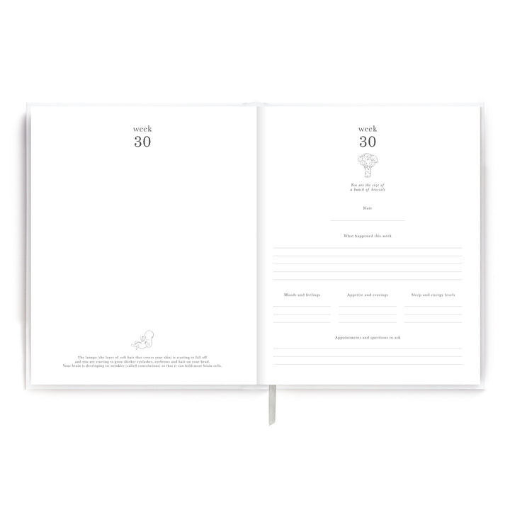 Pregnancy Journal