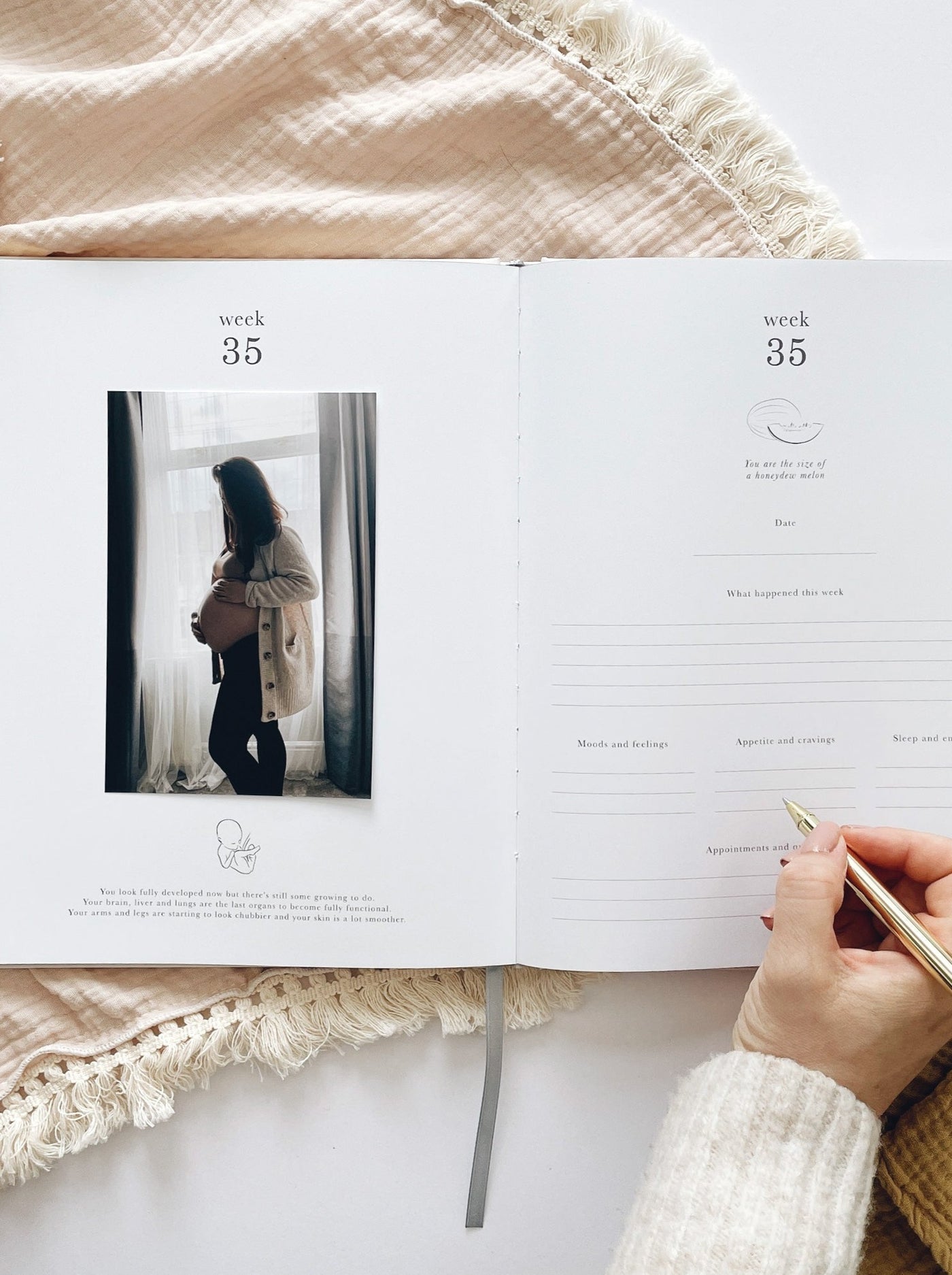 Pregnancy Journal