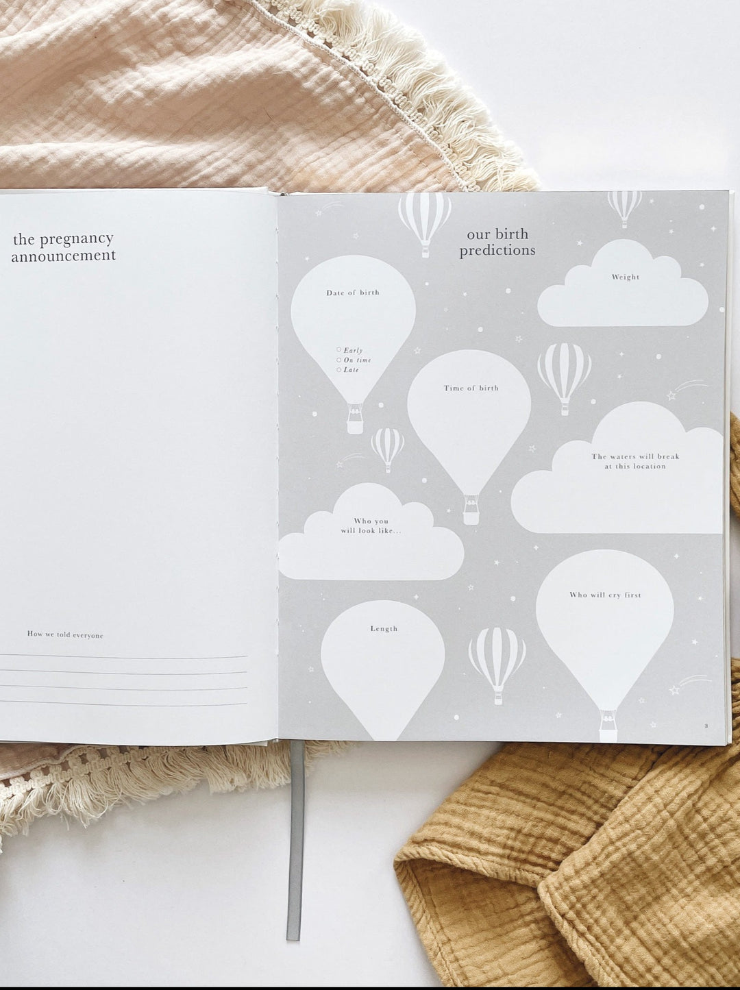 Pregnancy Journal