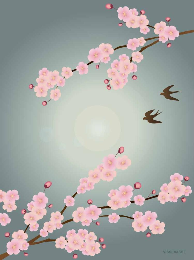 Sakura - Kort