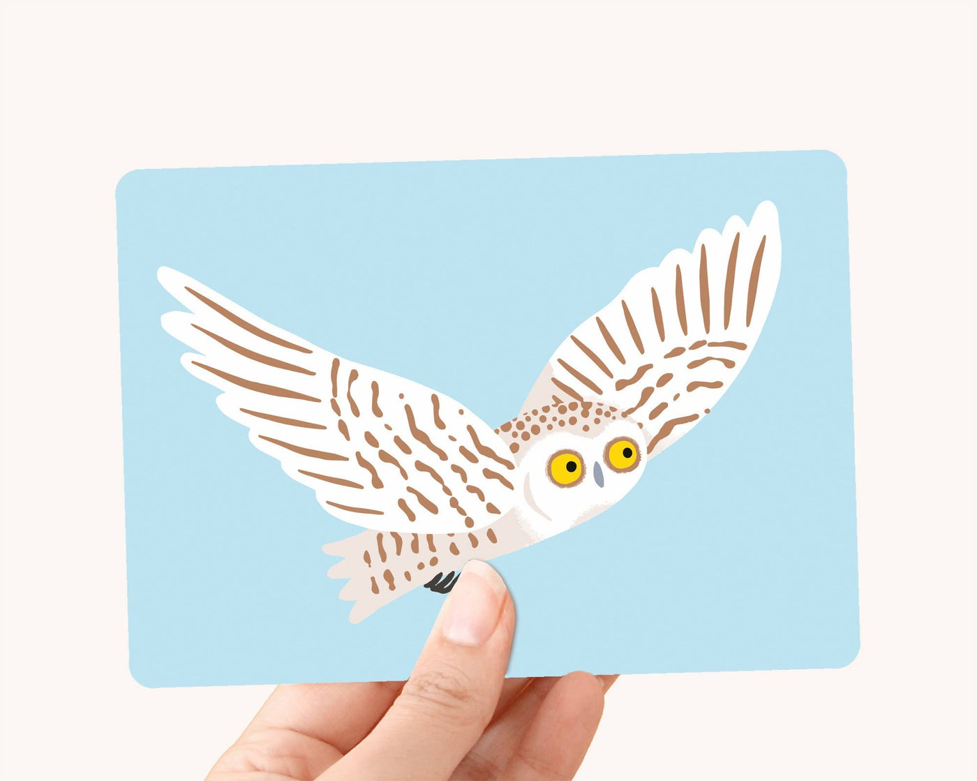 Snow Owl - Postkort