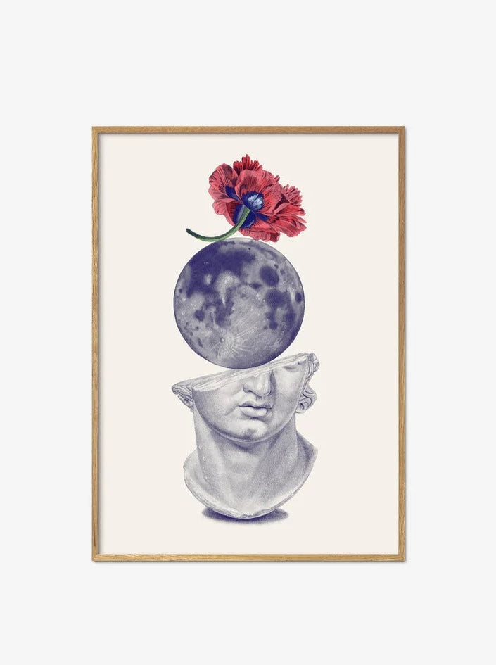 Poster - Red poppy, moon and plaster