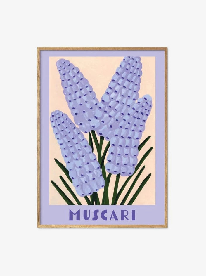 Poster - Muscari